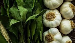 تصویر 2 از خرید و فروش سیر طارم با شرایط فوق العاده